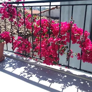 https://casa-magnolia-boutique-rooms.kusadasihotels.org